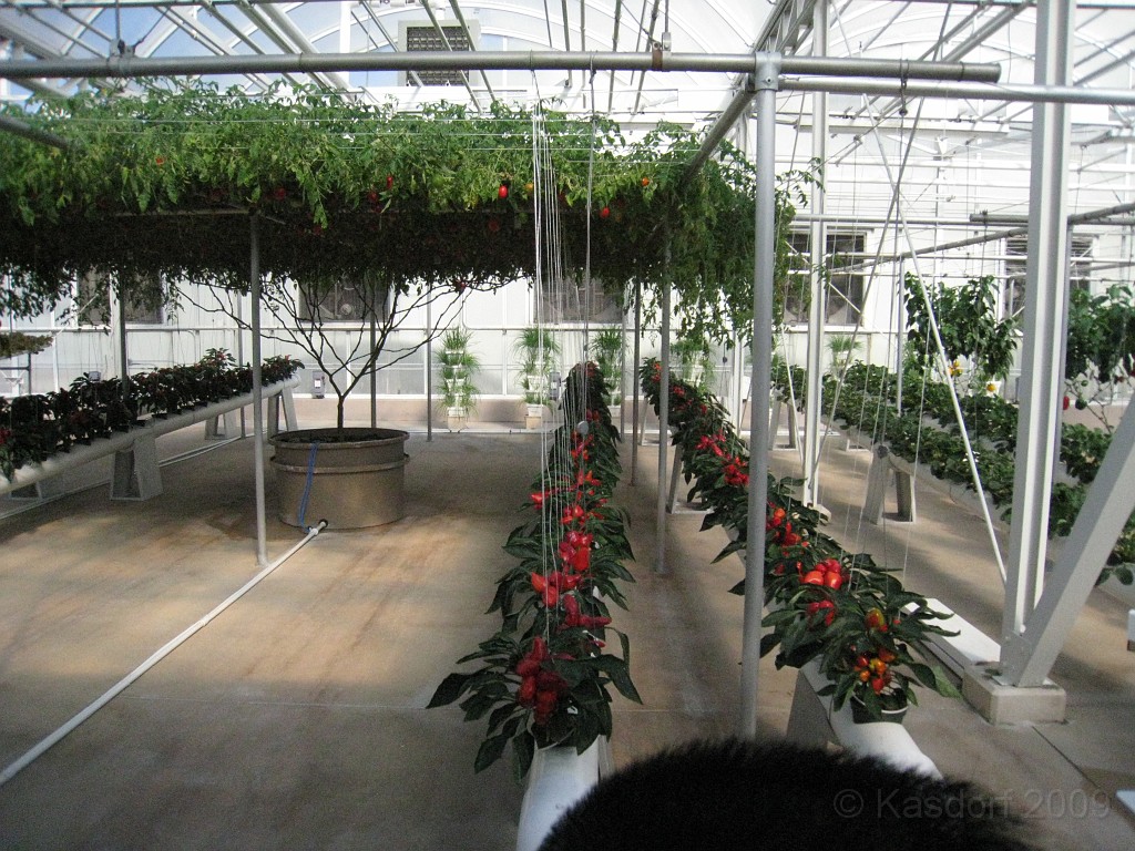 Disney 2010 D3 0530.jpg - January 9-11, 2010 Disney World Florida. Monday, up and ready to roll, took shuttle to Epcot. Caught a couple shows and took a lot of pictures. Finally had to call it a day to get to our plane to go home.